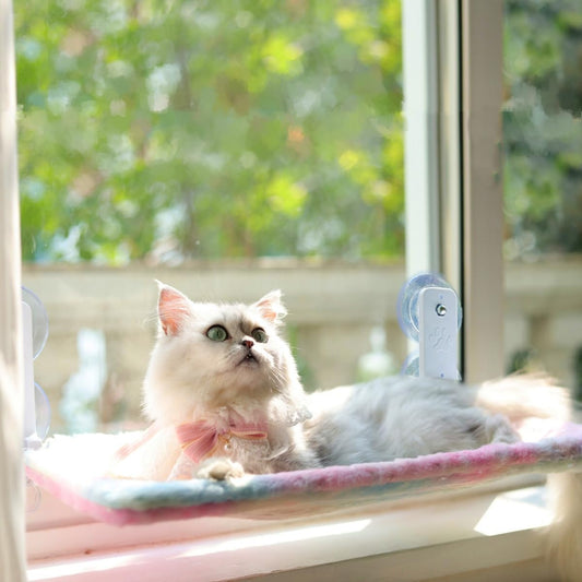 Cordless Foldable Cat Window Perch
