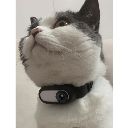 Wireless Pet Collar Camera | Real-Time Recording | Lightweight | Indoor & Outdoor | Fits Cats & Dogs | See the World Through Your Pet's Eyes