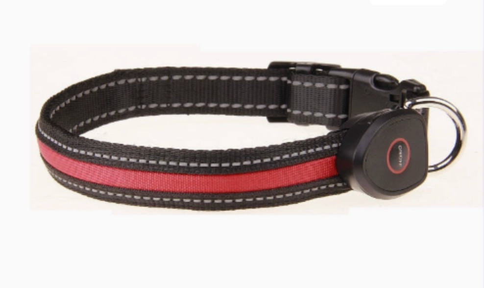 USB Rechargeable LED Dog Collar for Night Walks