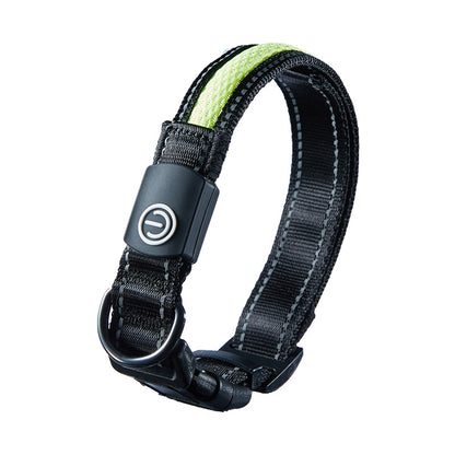 USB Rechargeable LED Dog Collar for Night Walks