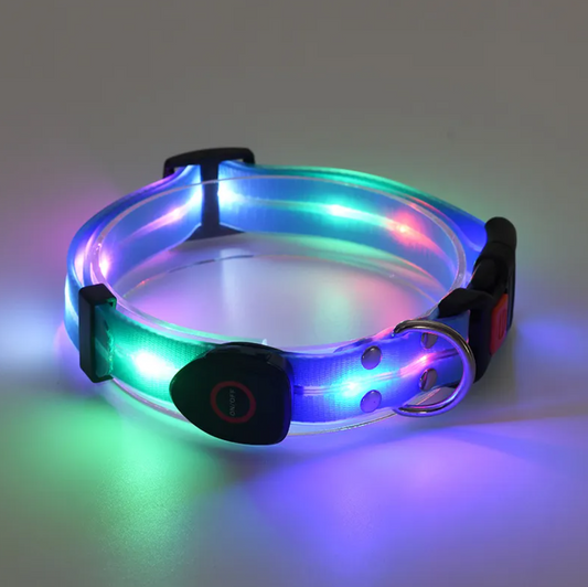 Rechargeable LED Pet Collar with Nylon Leash | Night Visibility & Safety | Adjustable Fit | Durable Nylon | For Dogs