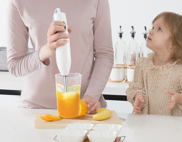 Handheld Kitchen Cooker Blender for Cooking